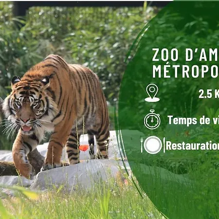 Apartment Le Macquet Vion *best Quality* Center Amiens